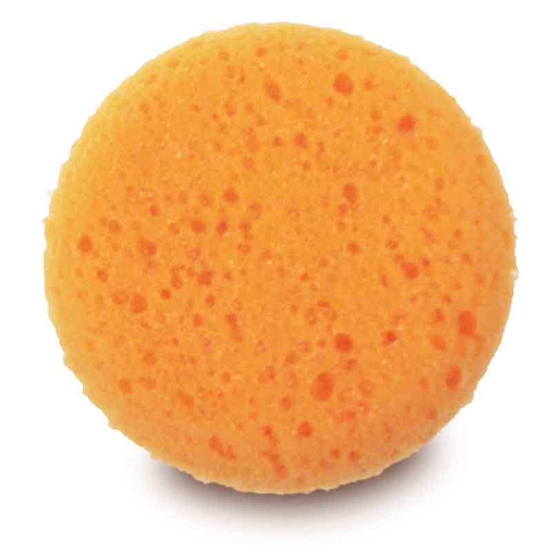 Malschwamm