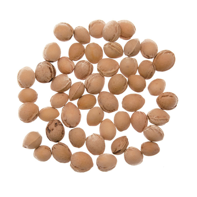 Kirschkerne 1 kg